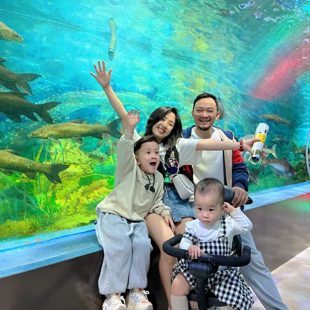 View of Khu vực cá nước ngọt và nước lợ at Bao Son Paradise Park.