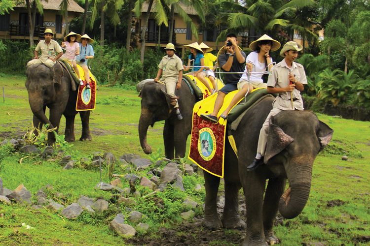 Elephant Back Safari: koniec przejażdżek na słoniach