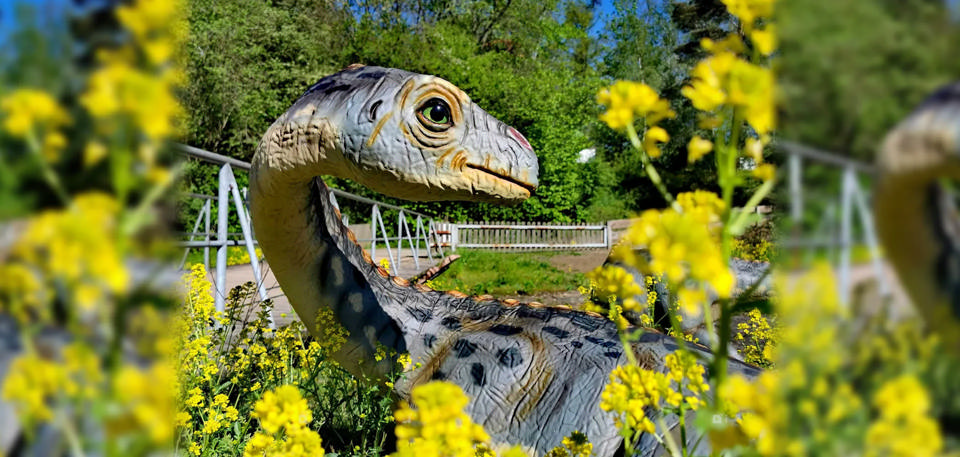 A young dinosaur among yellow flowers beside the trail at Dinosaurier-Park Münchehagen.
