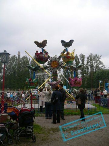 Butterflies