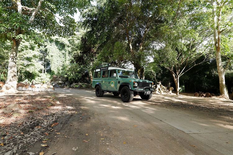 Vehículo todoterreno de la experiencia 4×4 Safari en Bali Safari Park.