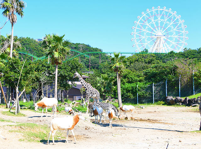 Safari World