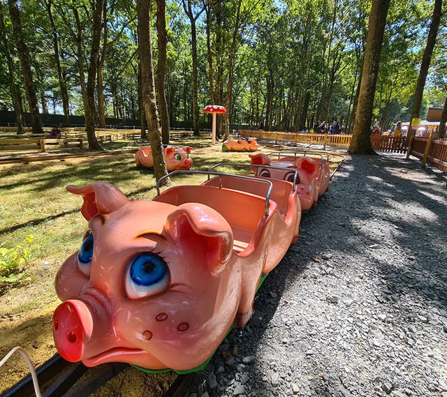 Les p’tits cochons