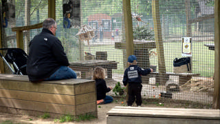 A family watches parakeets in the parkʼs large timber aviary.