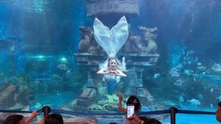 De show Pony, zeemeerminnen en blauwe oceaan in Bao Son Paradise Park.