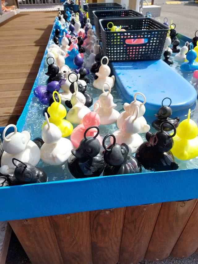 Pêche aux canards
