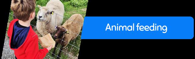 Animal Feeding