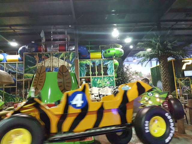 Roller Coaster
