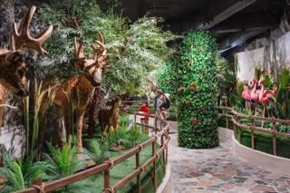 Veduta di Khu trưng bày động vật hoang dã al Bao Son Paradise Park.