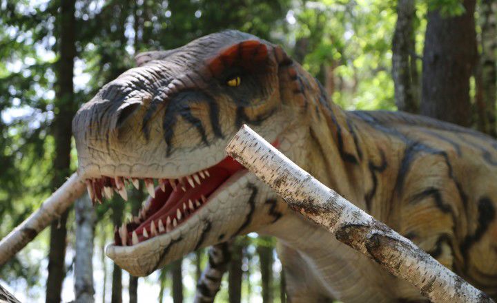 Widok na Dinosaur trail w ABpark.