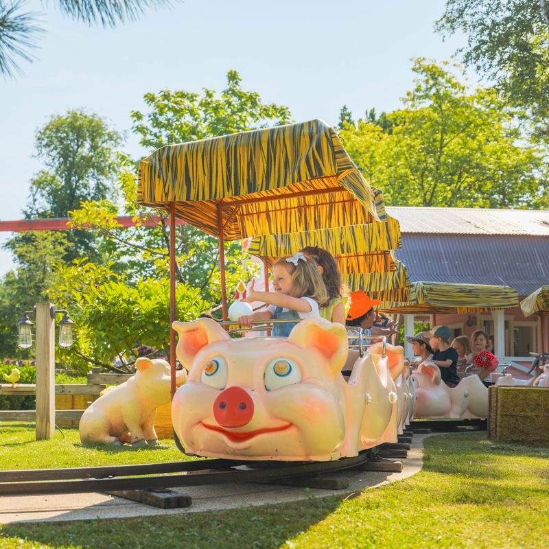 Les Cochons in Parc Bagatelle.