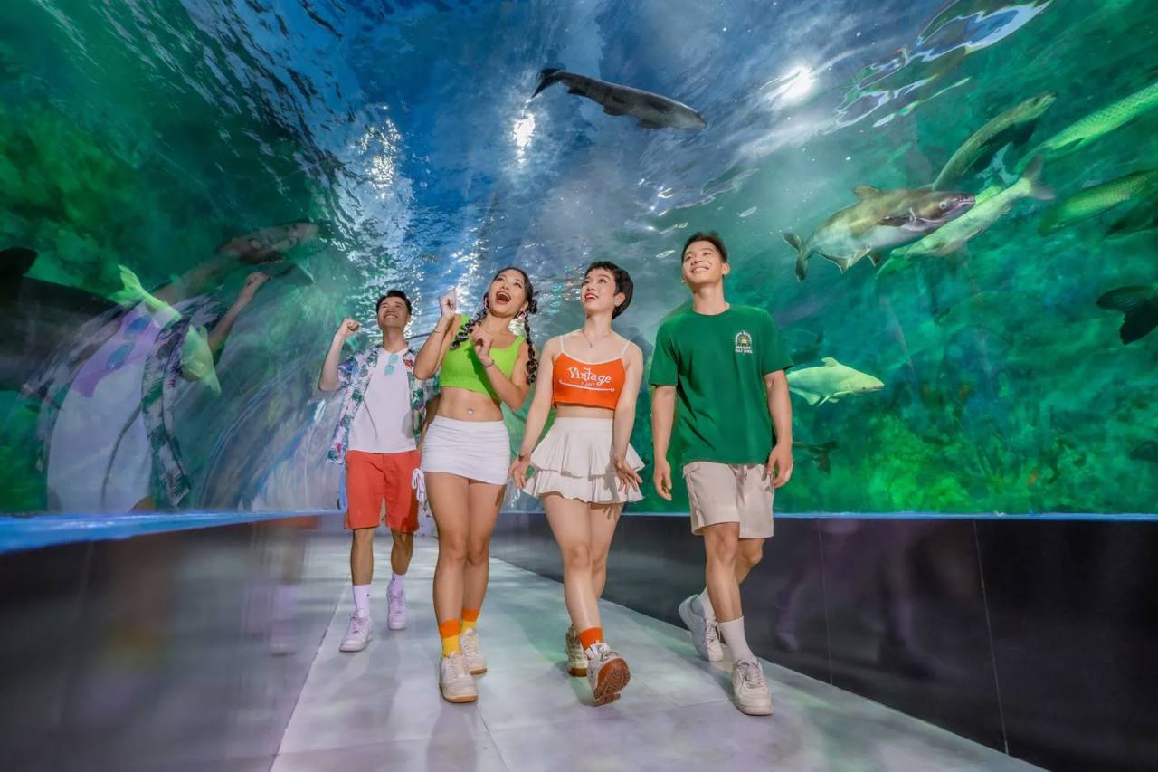 Veduta di Đường hầm Thủy cung al Bao Son Paradise Park.
