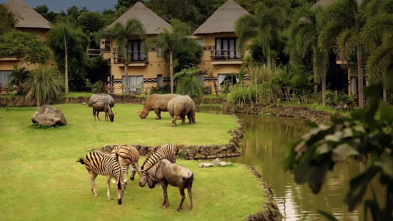Vista general de Mara River Safari Lodge dentro de Bali Safari Park.