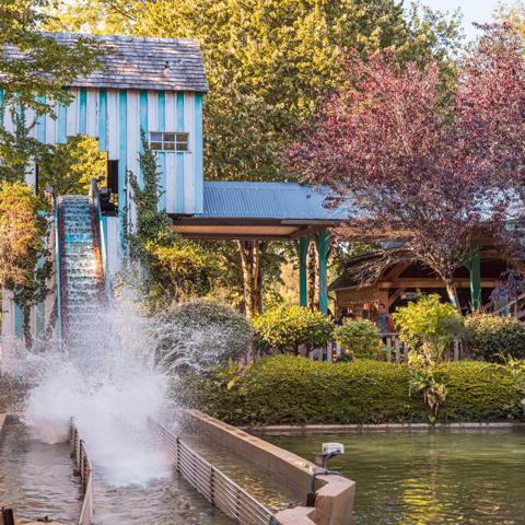 La future Splash Factory ouvre comme bûches familiales