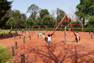 Des enfants profitent des balançoires sous les grands arbres de la plaine