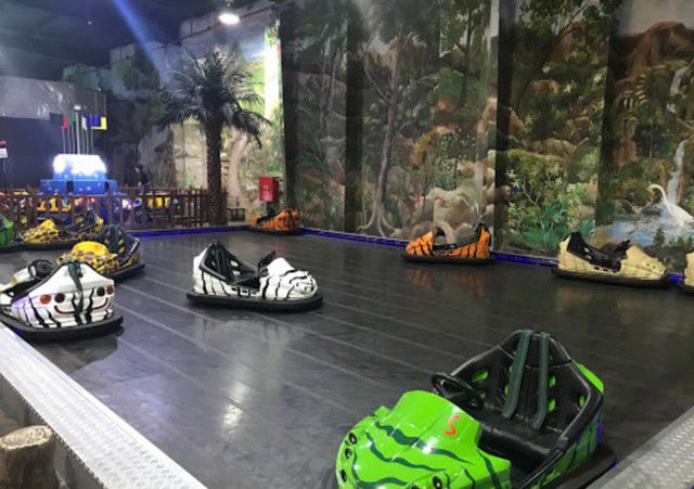 Bumper Cars