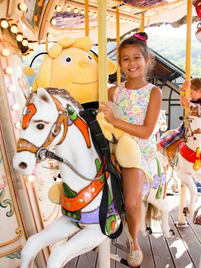 Merry-go-Round
