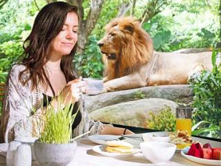 Gedekte tafel voor Breakfast with Lions in Tsavo Lion Restaurant.