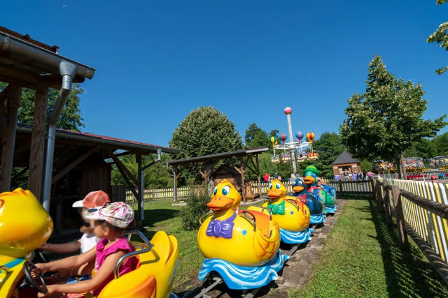 Duck Family