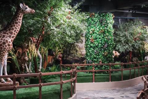 Thế giới động vật opens on the Aquarium’s third floor