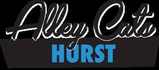 Earlier colourful Alley Cats Entertainment logo.