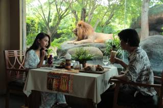 Beeld van Breakfast with Lions door de glazen wanden.