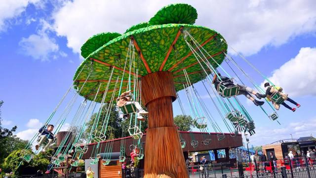 L’Arbre Magique