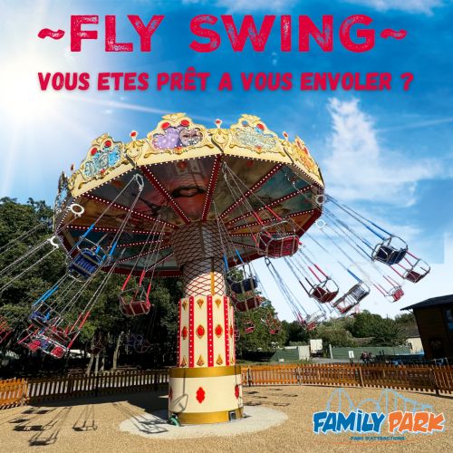 Flyswing
