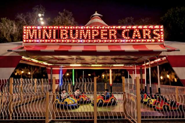 Bumper Cars (Kids)