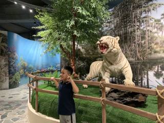 Veduta di Khu trưng bày động vật hoang dã al Bao Son Paradise Park.
