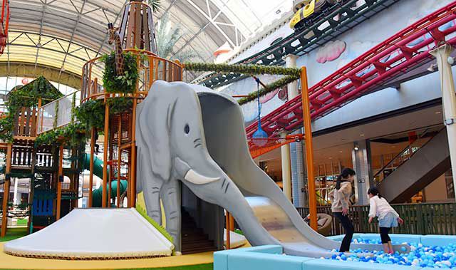 Wakuwaku Kids Jungle