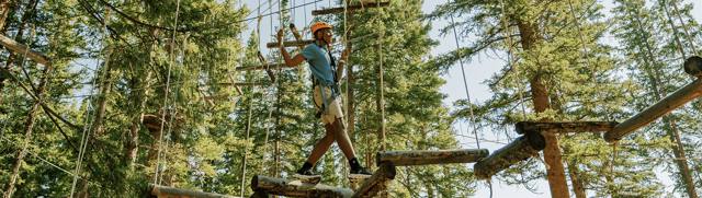 Treeline Trial Challenge Course