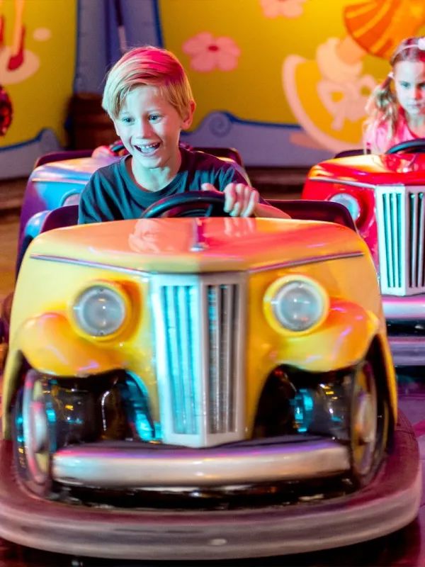 The Bumper Cars