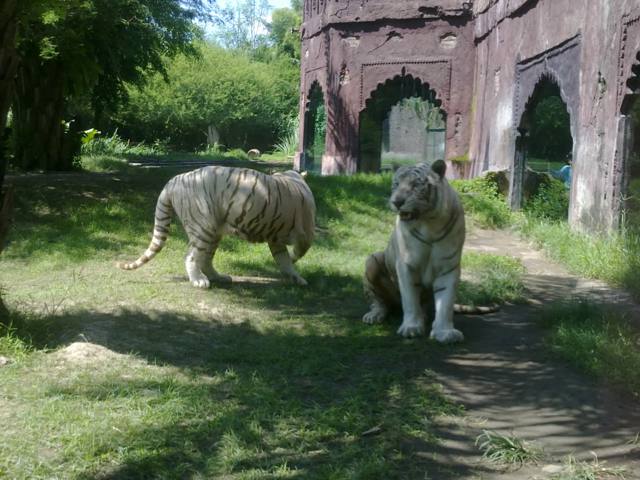 Ranthambore Palace