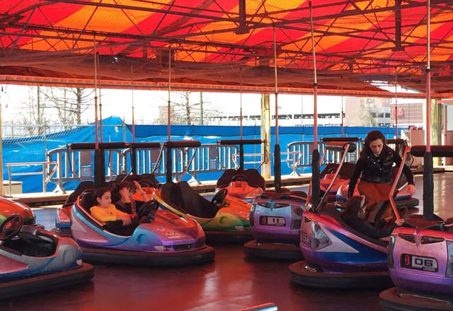 Bumper Cars