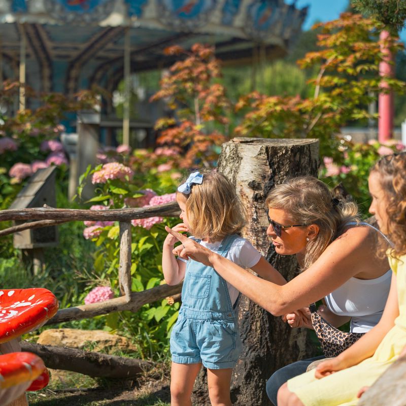 La Cité des Insectes & L'Arbre Enchanté en Parc Bagatelle.